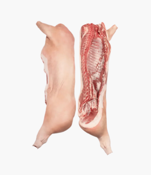 Canal-de-Cerdo Canal de Cerdo